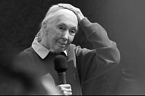 Bioložka Jane Goodallová zemřela ve věku 91 let. Proslavil ji její výzkum primátů – zejména šimpanzů.
